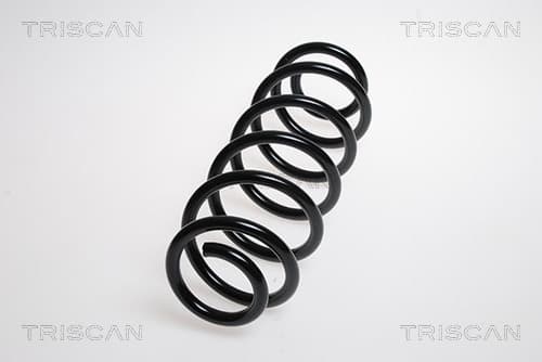Spiralfjäder bak från TRISCAN