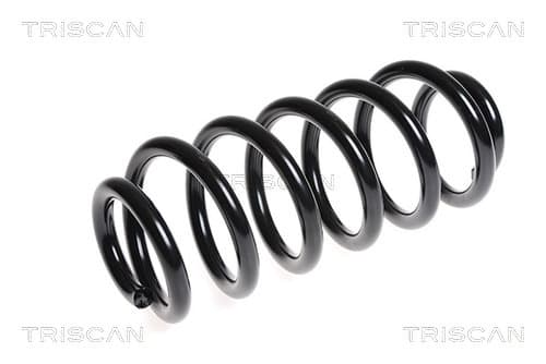 Spiralfjäder fram från TRISCAN