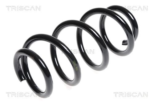 Spiralfjäder fram från TRISCAN