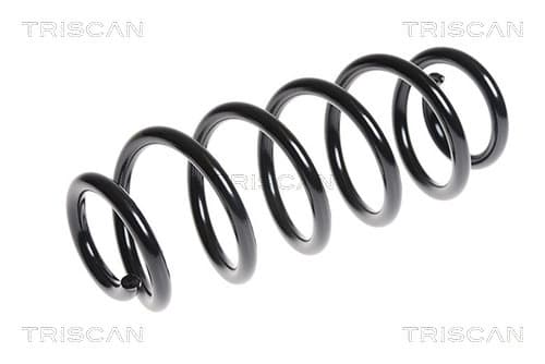 Spiralfjäder bak från TRISCAN