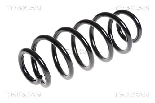 Spiralfjäder bak från TRISCAN