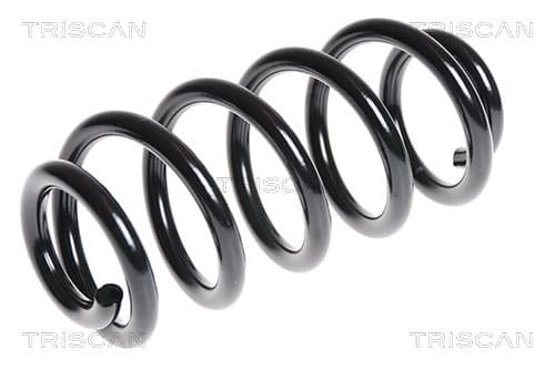 Spiralfjäder bak från TRISCAN