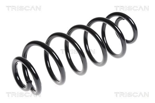 Spiralfjäder bak från TRISCAN