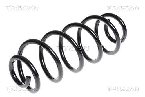 Spiralfjäder bak från TRISCAN