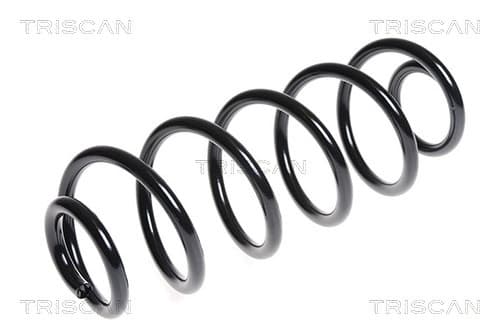 Spiralfjäder bak från TRISCAN