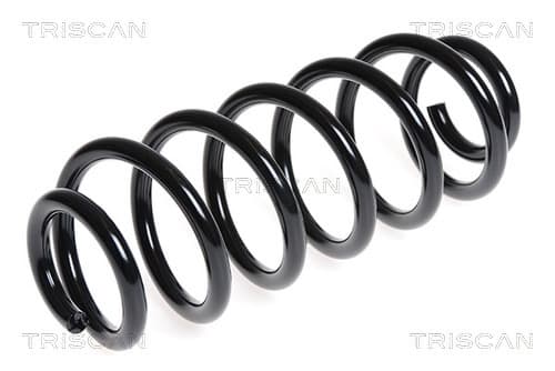 Spiralfjäder bak från TRISCAN