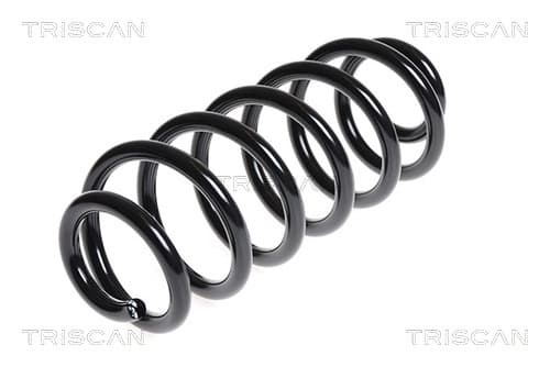 Spiralfjäder bak från TRISCAN