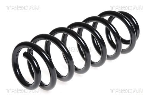 Spiralfjäder bak från TRISCAN