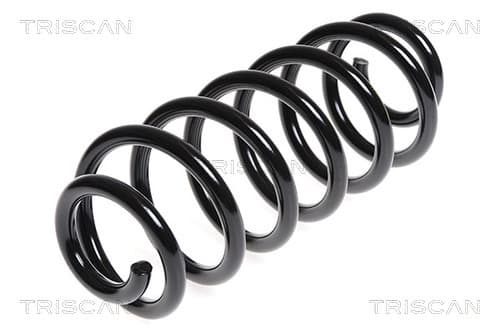 Spiralfjäder bak från TRISCAN