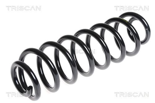 Spiralfjäder bak från TRISCAN