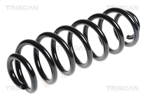 Spiralfjäder bak från TRISCAN