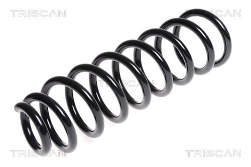 Spiralfjäder bak från TRISCAN