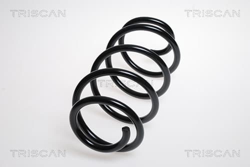 Spiralfjäder fram från TRISCAN