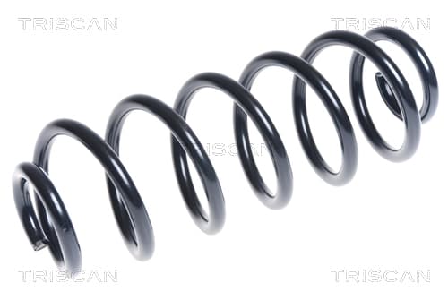 Spiralfjäder bak från TRISCAN