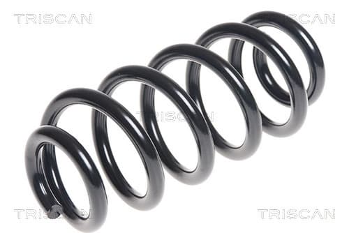 Spiralfjäder bak från TRISCAN