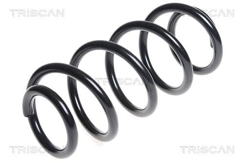Spiralfjäder fram från TRISCAN