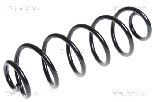 Spiralfjäder bak från TRISCAN