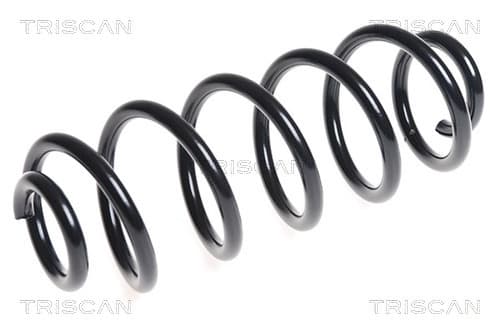 Spiralfjäder bak från TRISCAN