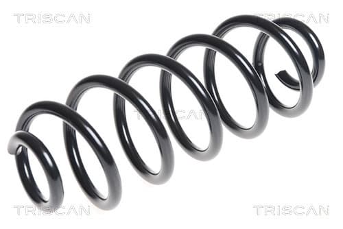 Spiralfjäder bak från TRISCAN