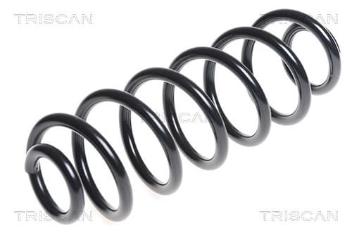 Spiralfjäder bak från TRISCAN