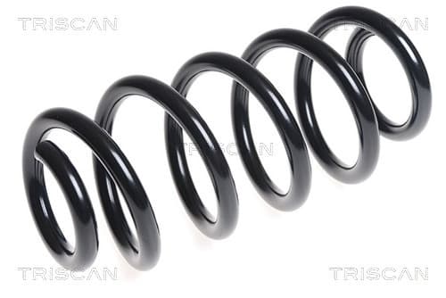 Spiralfjäder fram från TRISCAN