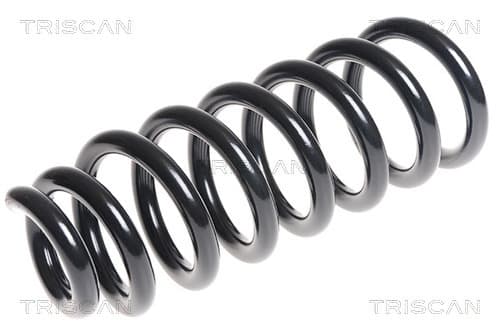 Spiralfjäder fram från TRISCAN