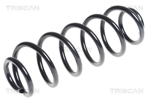 Spiralfjäder bak från TRISCAN