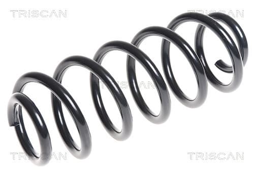 Spiralfjäder bak från TRISCAN