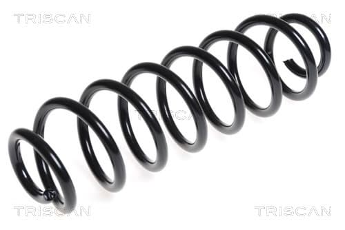 Spiralfjäder bak från TRISCAN