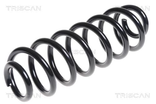 Spiralfjäder bak från TRISCAN