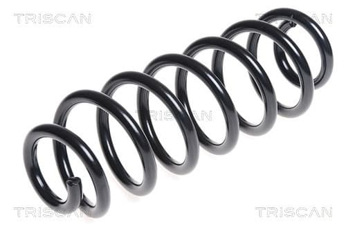 Spiralfjäder bak från TRISCAN