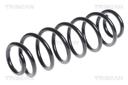 Spiralfjäder bak från TRISCAN