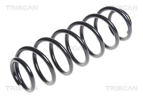 Spiralfjäder bak från TRISCAN