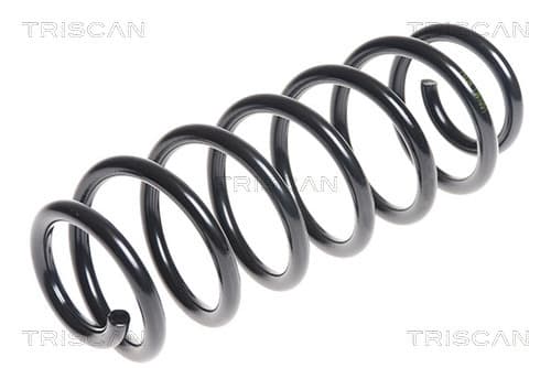 Spiralfjäder bak från TRISCAN