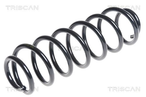 Spiralfjäder bak från TRISCAN