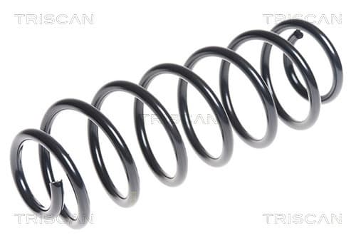 Spiralfjäder bak från TRISCAN