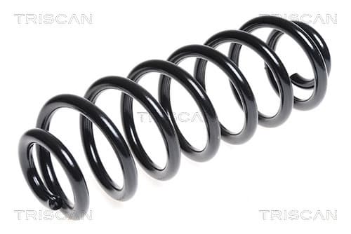 Spiralfjäder bak från TRISCAN