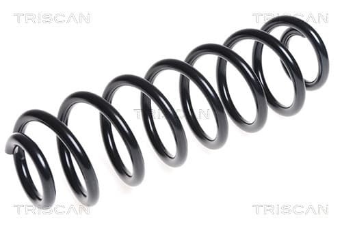 Spiralfjäder bak från TRISCAN