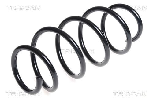 Spiralfjäder fram från TRISCAN