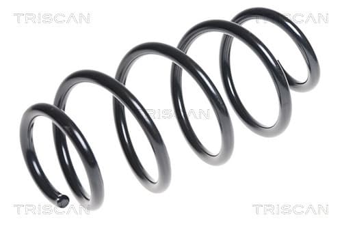 Spiralfjäder fram från TRISCAN