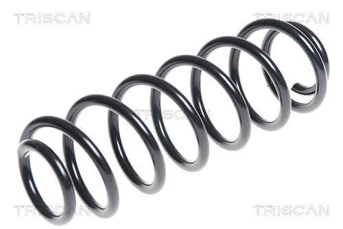 Spiralfjäder bak från TRISCAN