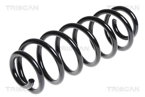 Spiralfjäder bak från TRISCAN