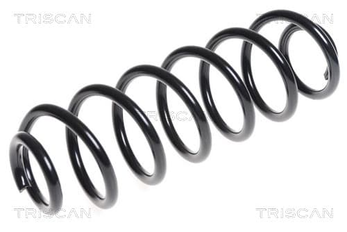 Spiralfjäder bak från TRISCAN