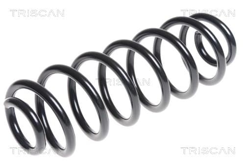 Spiralfjäder bak från TRISCAN