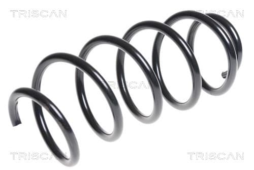 Spiralfjäder fram från TRISCAN