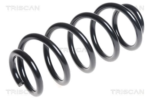 Spiralfjäder fram från TRISCAN