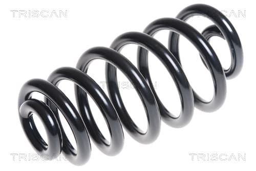 Spiralfjäder bak från TRISCAN