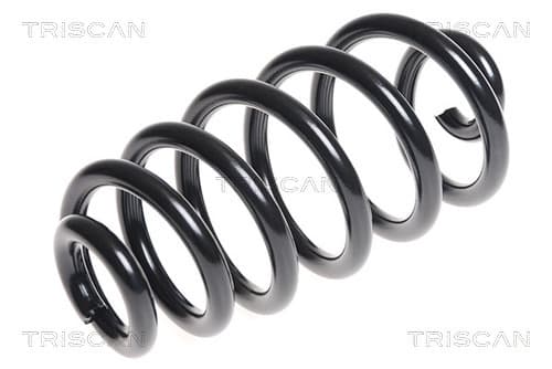 Spiralfjäder bak från TRISCAN