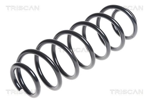 Spiralfjäder bak från TRISCAN