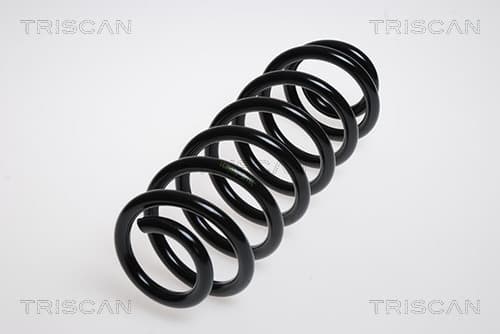 Spiralfjäder bak från TRISCAN